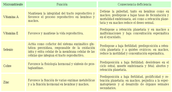 Causas nutricionales que pueden provocar desórdenes reproductivos y baja fertilidad en vacas - Image 1