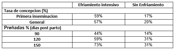 Es posible mantener buena fertilidad en el verano, también en climas cálidos - Image 1