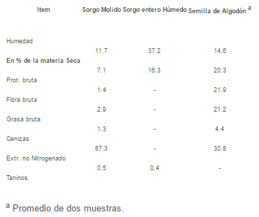 Engorde de novillos con grano de sorgo molido y sorgo entero húmedo - Image 2
