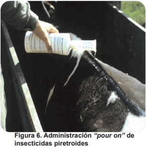 Mosca de los cuernos (Haematobia irritans) (biología, importancia económica, aspectos epidemiológicos y tendencias estacionales en el área central de la Argentina, control) - Image 7