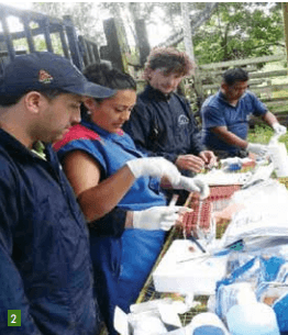 ¿Por qué necesitamos evaluar los genotipos ganaderos que se adaptan a la amazonía? - Image 2