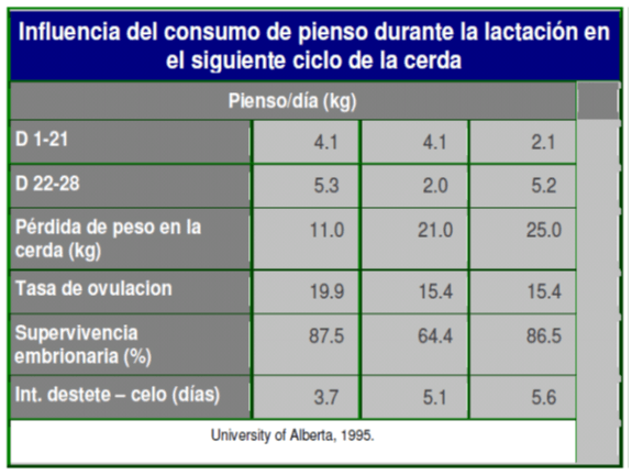Puntos clave del manejo en maternidad - Image 3