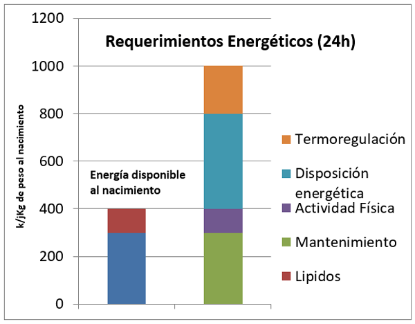 Puntos clave del manejo en maternidad - Image 8