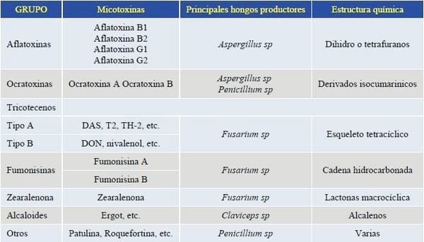 Repercusiones de las micotoxinas en las cerdas altas productoras - Image 2