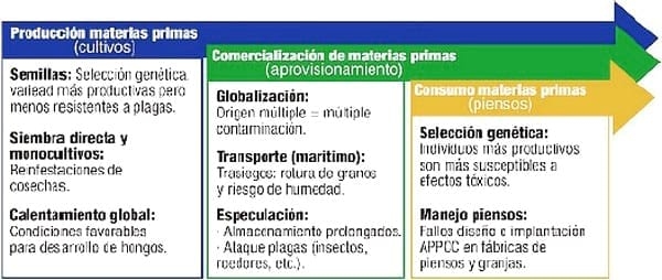 Repercusiones de las micotoxinas en las cerdas altas productoras - Image 1