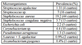 Prevalencia de mastitis en vacas lecheras de primer parto y patrón de sensibilidad de las bacterias aisladas en una lechería especializada - Image 2