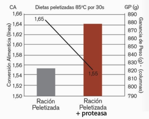 Usos de proteasas en avicultura - Image 8