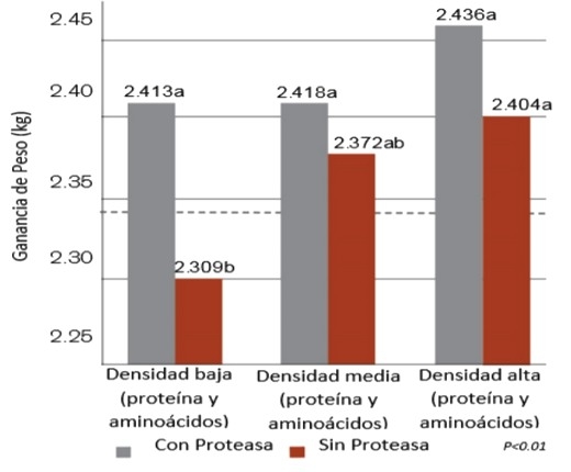 Usos de proteasas en avicultura - Image 10