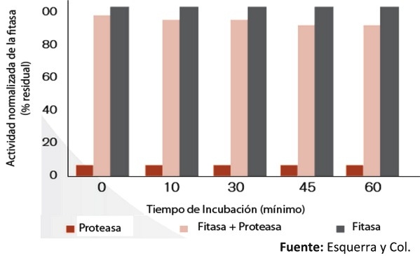 Usos de proteasas en avicultura - Image 13