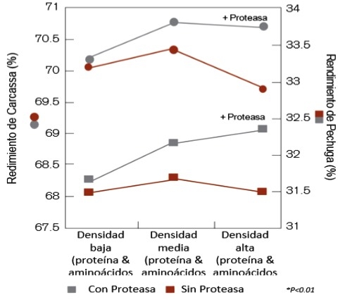 Usos de proteasas en avicultura - Image 11