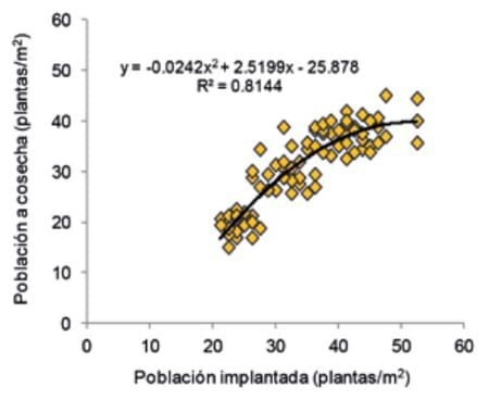 Soja: rendimiento con y sin riego a diferentes poblaciones de siembra - Image 2