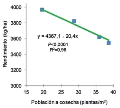 Soja: rendimiento con y sin riego a diferentes poblaciones de siembra - Image 6