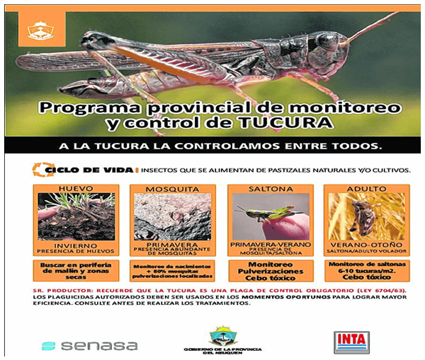 Actualización técnica sobre tucuras - Image 1