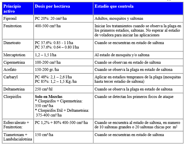 Actualización técnica sobre tucuras - Image 3