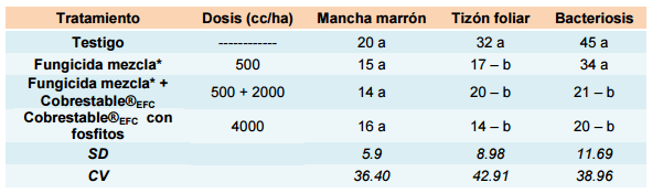 Evaluación de productos para el manejo de enfermedades en cultivo de soja, ciclo agrícola 2011/2012 - Image 5