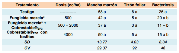 Evaluación de productos para el manejo de enfermedades en cultivo de soja, ciclo agrícola 2011/2012 - Image 6