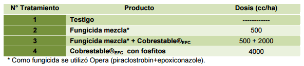 Evaluación de productos para el manejo de enfermedades en cultivo de soja, ciclo agrícola 2011/2012 - Image 2
