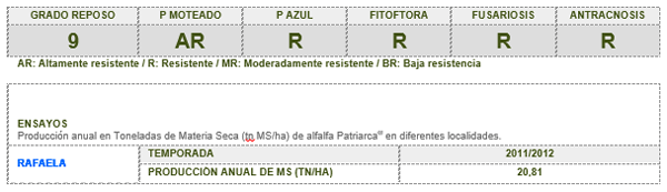 Alternativas en pasturas templadas: principales consideraciones. - Image 1