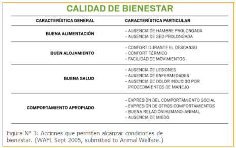 ¿Cómo medimos el bienestar animal? - Image 2