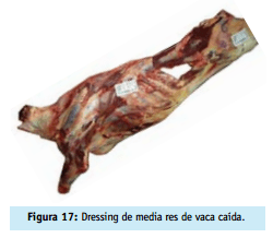 Buenas practicas ganaderas bienestar animal - Image 22