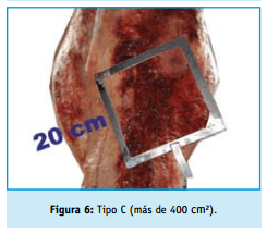 Buenas practicas ganaderas bienestar animal - Image 6