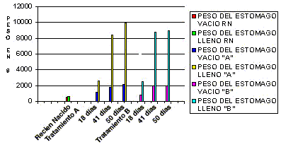 Desarrollo morfológico del estómago en terneros alimentados con dos sustitutos lácteos - Image 3