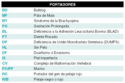 Apostando por el mejoramiento genético bovino ¿Cómo se lee la prueba de un semental? Parte I - Image 2
