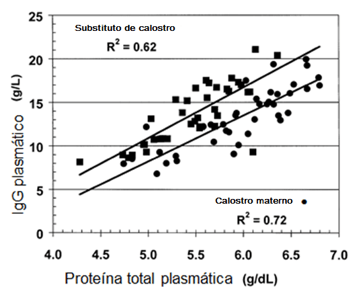 Calostro: primer alimento en definir el futuro productivo del rodeo lechero. Parte 1: calostro e inmunidad pasiva - Image 5