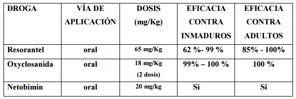 Diagnostico diferencial ante mortem entre Fasciola hepatica y Cotylophoron spp - Image 13