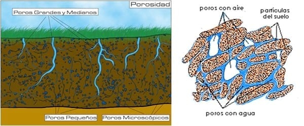 Agua en el suelo ¿problema o solución? - Image 4