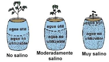 Agua en el suelo ¿problema o solución? - Image 6