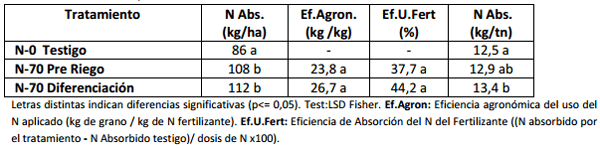 Fertilización para altos rendimientos de Arroz - Image 8