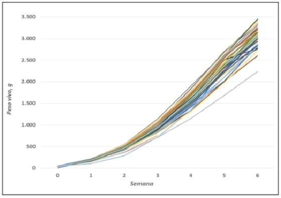 Ensayo dosis-respuesta con una fitasa de origen E. coli en pollos de engorde, con matriz variable de P disponible - Image 8