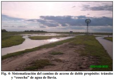 Aguadas para ganadería bovina en los bajos submeridionales y áreas de influencia - Image 4