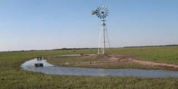Recarga inducida al acuífero libre con agua de lluvia para abrevado de ganadería de cría - Image 4