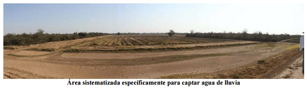 Manejo eficiente de los recursos hídricos para Ganadería en el norte de Santa Fe - Image 6