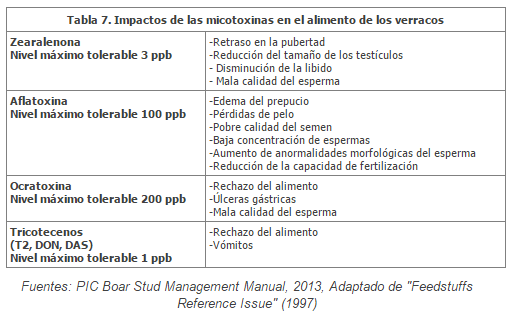 Nutrición del verraco - Image 9