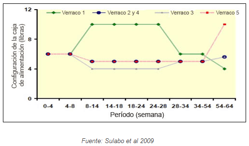 Nutrición del verraco - Image 15