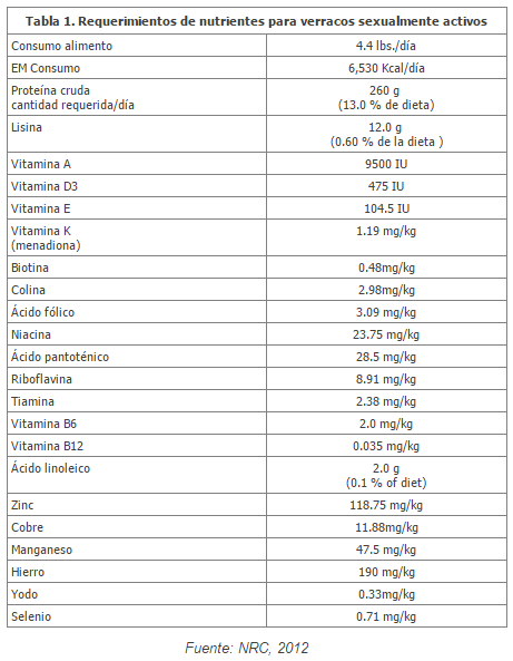 Nutrición del verraco - Image 3