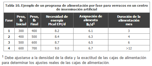 Nutrición del verraco - Image 17