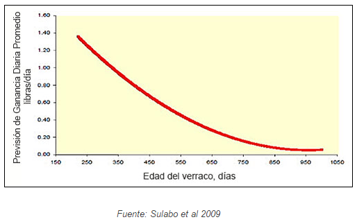 Nutrición del verraco - Image 13