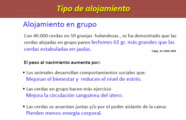 Conozca sus cerdos, controle su granja - Image 4