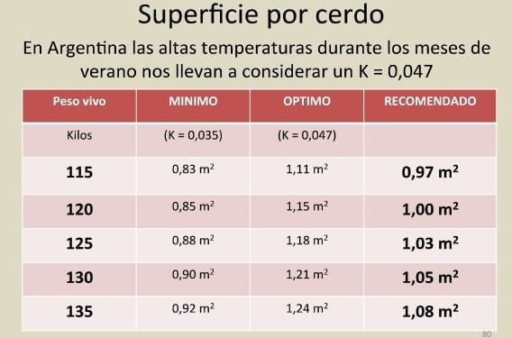 Superficie por cerdo en terminación - Image 3