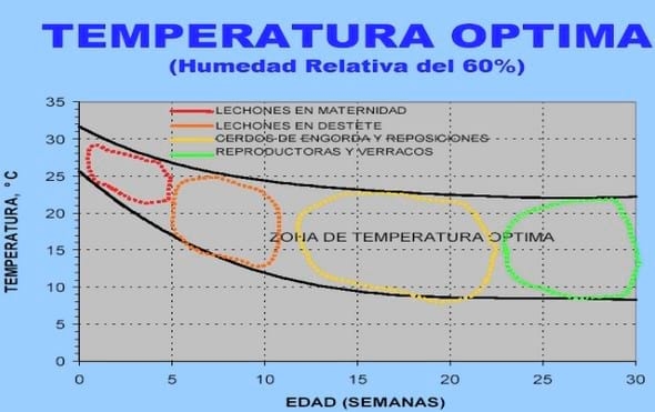 Túneles de viento en la producción porcina - Image 1
