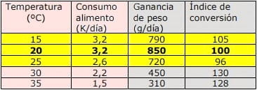 Túneles de viento en la producción porcina - Image 2