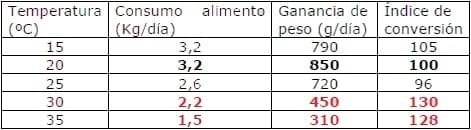 Alimentación líquida y estres por calor en la producción porcina - Image 4