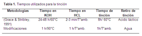 Efecto de uso del suelo bajo un sistema silvopastoril estrella (Cynodon plectostachyus) y leucaena (Leucaena leucocephala) sobre las simbiosis (Rhizobium, Micorrizas) - Image 3