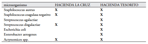Impacto del fósforo suplementado en bos taurus, sobre el medio ambiente y su producción - Image 5