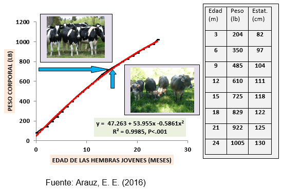 Perfil del desarrollo corporal en novillas holstein y pardo suizo en panama y estrategias para cuidar el potencial lechero y el bienestar animal en el clima tropical - Image 2