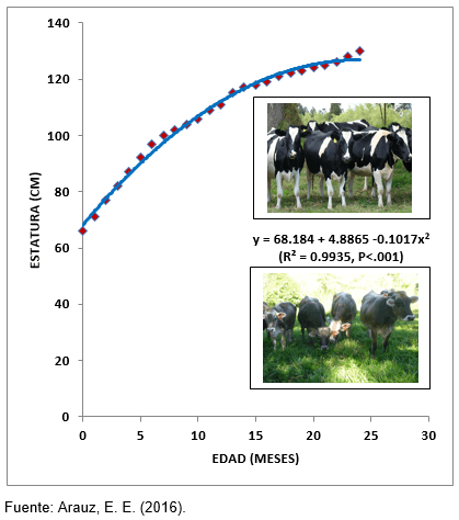 Perfil del desarrollo corporal en novillas holstein y pardo suizo en panama y estrategias para cuidar el potencial lechero y el bienestar animal en el clima tropical - Image 3